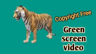 copyright free green screen video