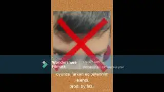 fazli - outro