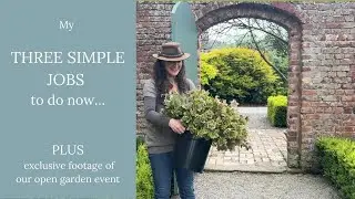 Three simple jobs to do now