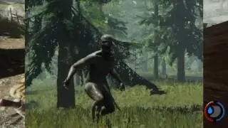 the forest we will we will rock you
