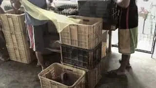 Spiral Method in Crime Investigation