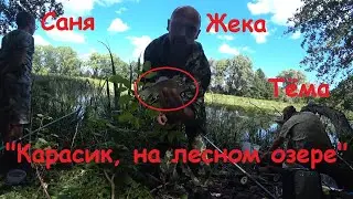 "Карась на озере в лесу"; озеро "Перебой" Поплавок.