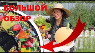 Перцем завалит. Мой самый большой обзор сладких перцев R