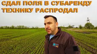 Первый обзор полей. Сезон 2024. Озимые зерновые - пшеница, ячмень. Лен, технологии обработки почвы.