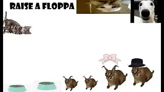 playing Raise a floppa