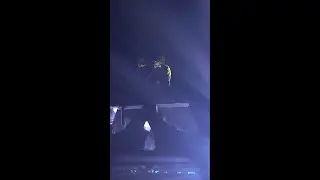 Alan Walker syncing hands
