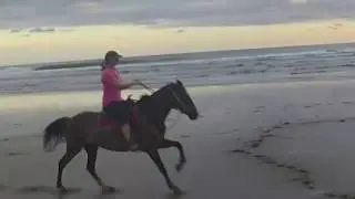 Costa Rica - The Riding Adventure