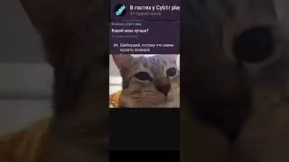 Какой мем лучше? 
