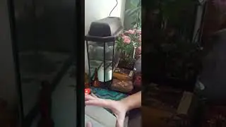 даже не знаю,как назвать расклад.....смотрите девочки..