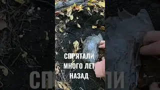 Интересные штучки в земле!            