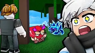 Level 1 With DEVIL FRUIT NOTIFIER For Update 20 In Blox Fruits (Roblox)