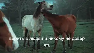 Жизнь научила нас сочетать в себе крайности  Мотивация! 1