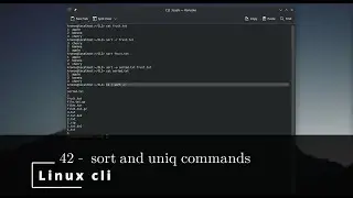 Linux CLI 42 🐧 sort and uniq commands