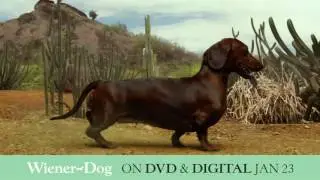 Wiener-Dog | On DVD & Digital NOW