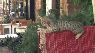 Анталия как Европа?