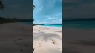 МЫ ТОЖЕ ХОТИМ ДОМОЙ!.