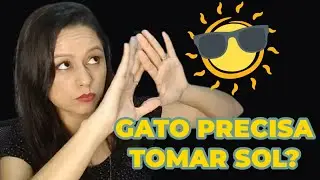 Gato Precisa Tomar Sol? 🌞