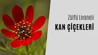 Zülfü Livaneli - Kan Çiçekleri