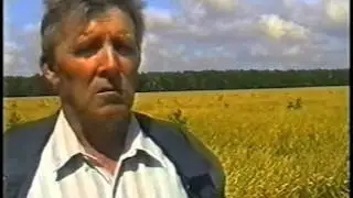 ЗАО "Сармат" 2001 год