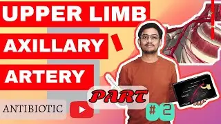 AXILLARY ARTERY PART 2 DETAIL EXPLANATION WITH UNIVERSITY NOTES📔📔