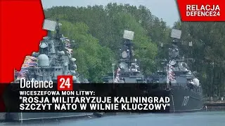 Wiceszefowa MON Litwy: 