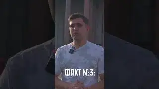 А я думала сова #прикол #приколы #мем #мемы #смешно #факты #shorts #memes #факты #исаакиевскийсобор