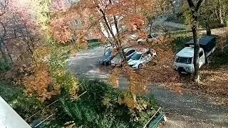 Пситеррор. Пермь.
