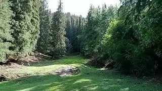 Джеты-Огузский лес, 2021г.