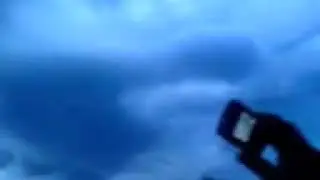 Shitpost Status