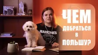 4 способа чем добраться в Польшу - плюсы и минусы