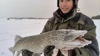 Зимняя рыбалка на Вилейском водохранилище. Ловля щуки и леща