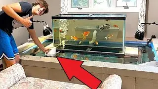 Adding air to our pond aquarium with a flower pitcher!