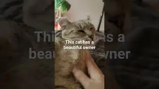 Touch me, I'll bite you.