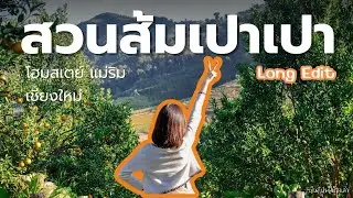 สวนส้มเปาเปา โฮมสเตย์ วิวดี ส้มสดอร่อยมาก == Long Edit == I เชียงใหม่มีเรื่องเล่า