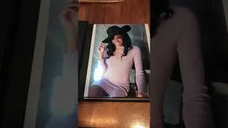 Model portfolio book