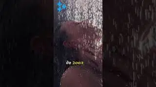 Засуха в Испании и Португалии зимой #португалия #испания #shorts #вода
