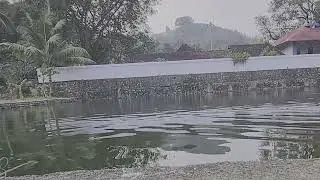 അമ്പല കുളവും ചുറ്റും #Ambala pond is also around