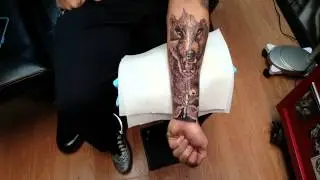 🐺 Guy Gets Huge Wildlife Wolf Tattoo 💉 Freehand -Shadowink Inkfam Fusion Ink Fk Irons Second Skin