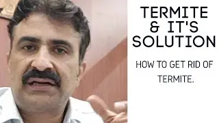How to solve Termite Problem | Anti Termite Treatment | दीमक से कैसे छुटकारा पाए।