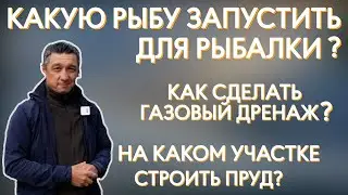 Какую рыбу запустить для рыбалки? как сделать газовый дренаж? На каком участке строить пруд?