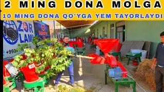 XITOYDI DAMINI BERGAN NAMANGANLIX IXTIROCHI
