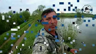 Ловля карасика на пруду Самарская обл