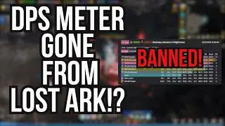 A Final Tribute To DPS Meter in Lost Ark