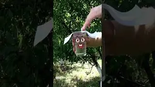 Goodland | Magic glass 😃  #goodland #shorts #doodles #doodlesart