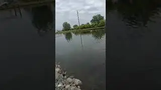 Абхазия  Abkhazia