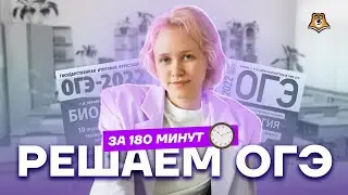 Решение варианта ОГЭ по биологии на скорость | Биология ОГЭ 2022 | Умскул