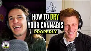 The Importance of Drying and Curing Cannabis! - Tips and Tricks