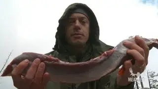 How to Remove Venison Backstrap with Steven Rinella