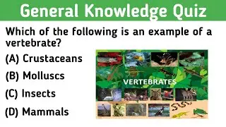 General Knowledge Quiz|Gk Questions and Answers| General Knowledge #gk