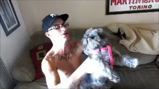 Tattooed man no match for toy dog
